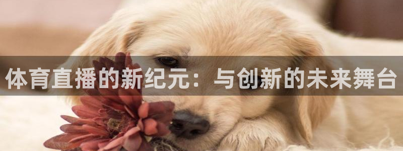 体育直播的新纪元：与创新的未来舞台