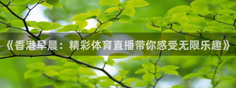 《香港早晨：精彩体育直播带你感受无限乐趣》