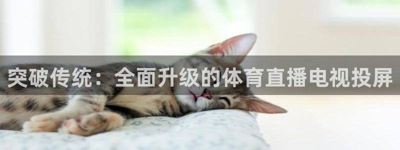 突破传统：全面升级的体育直播电视投屏