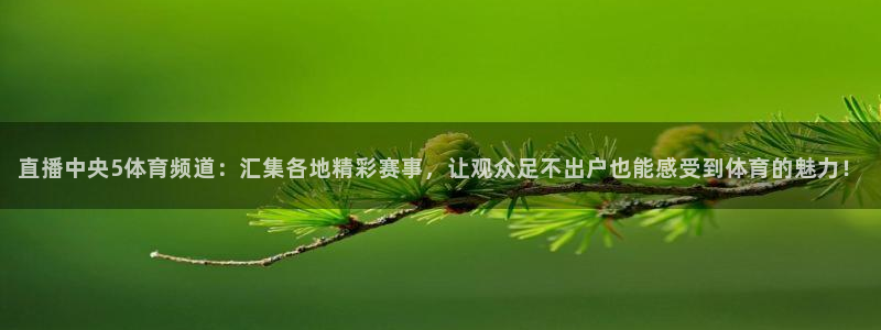 直播中央5体育频道：汇集各地精彩赛事，让观众足不出户也能感受到体育的魅力！