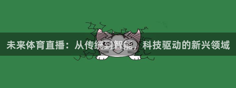未来体育直播：从传统到智能，科技驱动的新兴领域