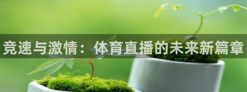 竞速与激情：体育直播的未来新篇章