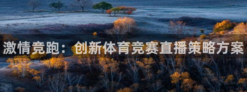 激情竞跑：创新体育竞赛直播策略方案