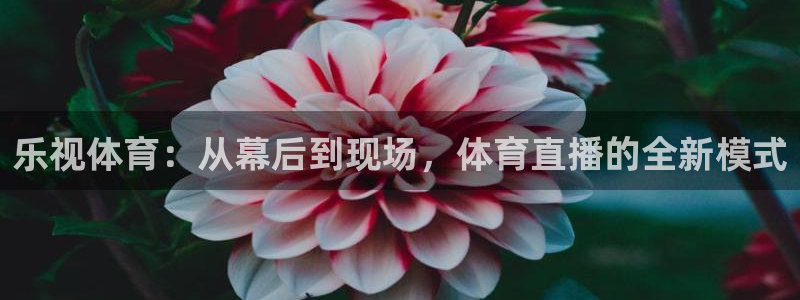 乐视体育：从幕后到现场，体育直播的全新模式