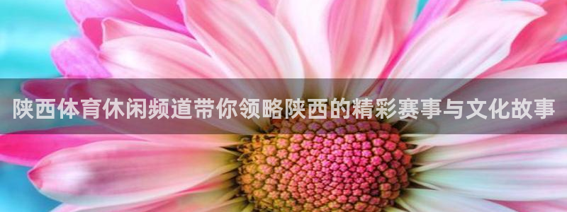 陕西体育休闲频道带你领略陕西的精彩赛事与文化故事