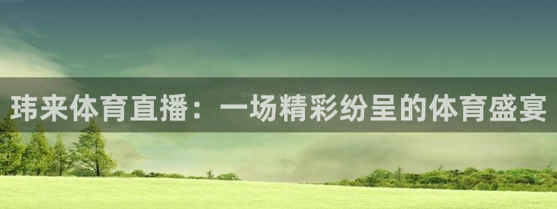 玮来体育直播：一场精彩纷呈的体育盛宴