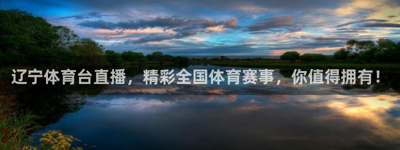 辽宁体育台直播，精彩全国体育赛事，你值得拥有！