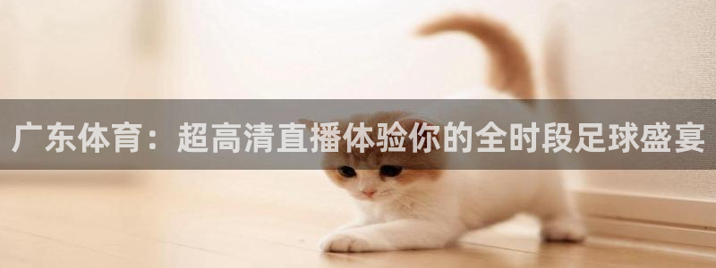 广东体育：超高清直播体验你的全时段足球盛宴