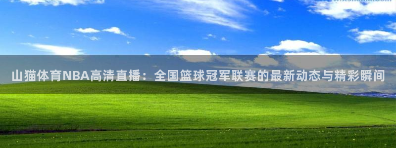 山猫体育NBA高清直播：全国篮球冠军联赛的最新动态与精彩瞬间