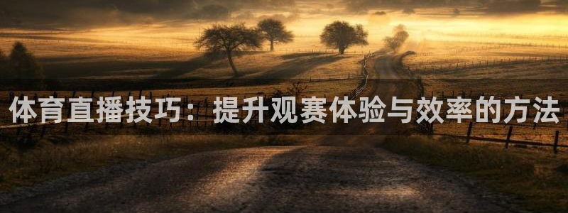 体育直播技巧：提升观赛体验与效率的方法