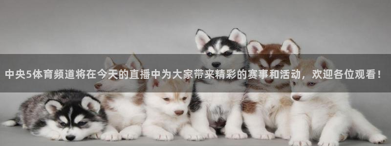 中央5体育频道将在今天的直播中为大家带来精彩的赛事和活动，欢迎各位观看！