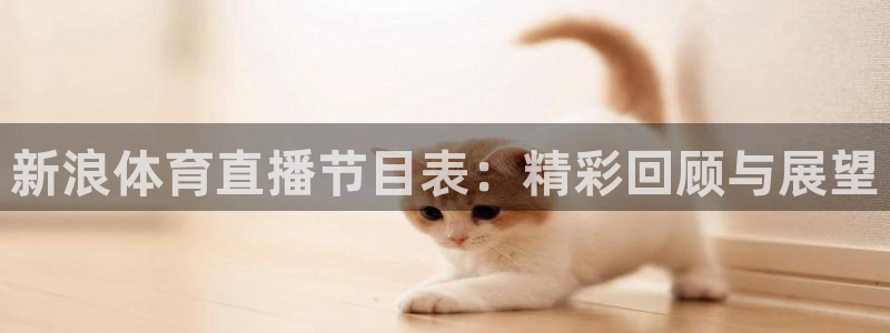 新浪体育直播节目表：精彩回顾与展望