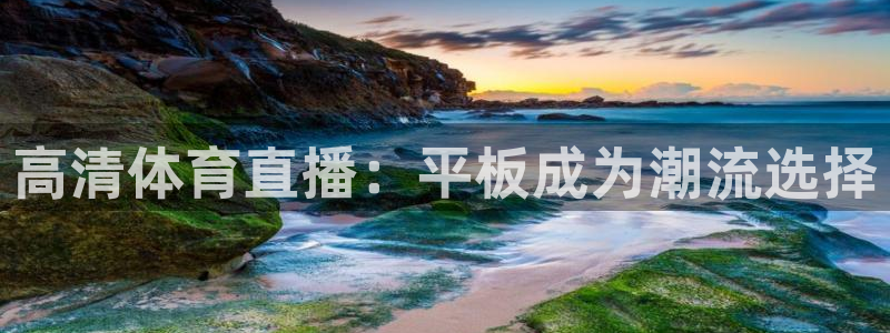 高清体育直播：平板成为潮流选择