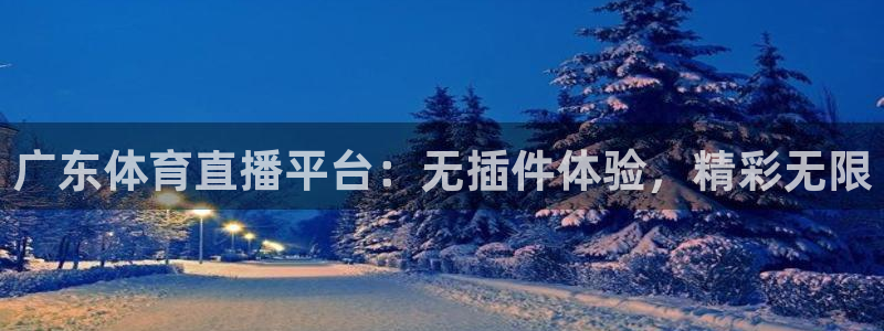 广东体育直播平台：无插件体验，精彩无限