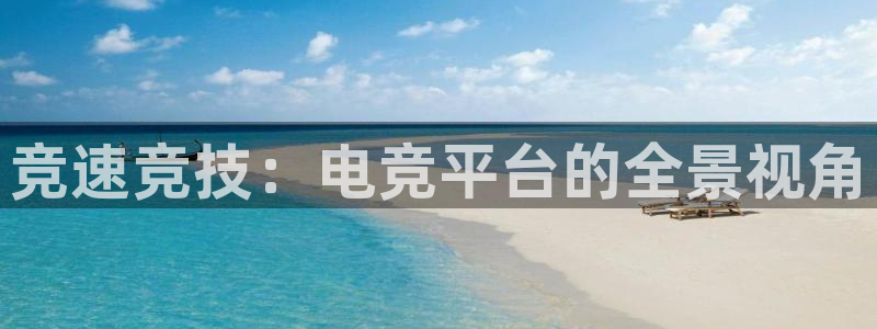 竞速竞技：电竞平台的全景视角