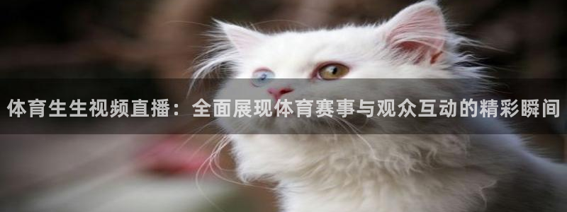 体育生生视频直播：全面展现体育赛事与观众互动的精彩瞬间