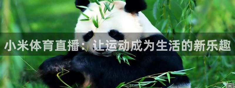 小米体育直播：让运动成为生活的新乐趣