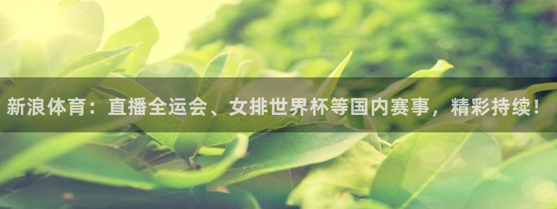 新浪体育：直播全运会、女排世界杯等国内赛事，精彩持续！