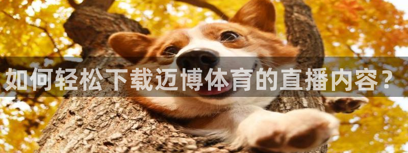 如何轻松下载迈博体育的直播内容？