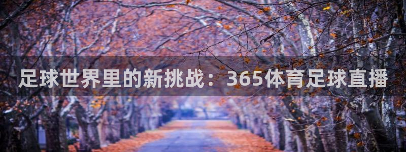 足球世界里的新挑战：365体育足球直播