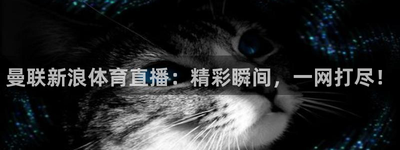曼联新浪体育直播：精彩瞬间，一网打尽！