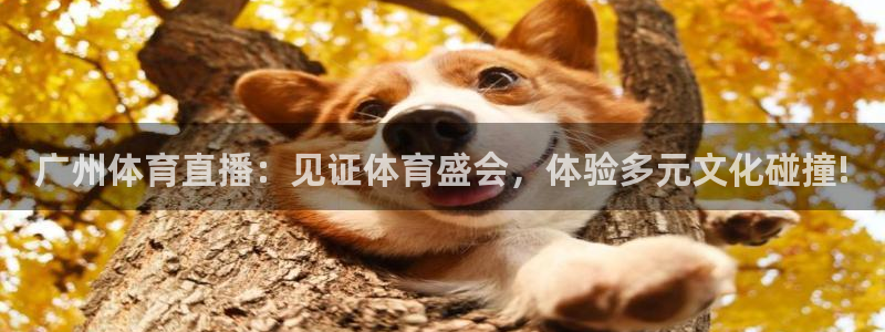 广州体育直播：见证体育盛会，体验多元文化碰撞!