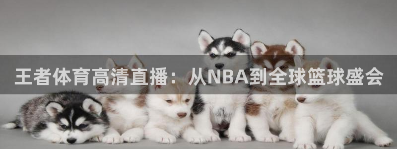 王者体育高清直播：从NBA到全球篮球盛会