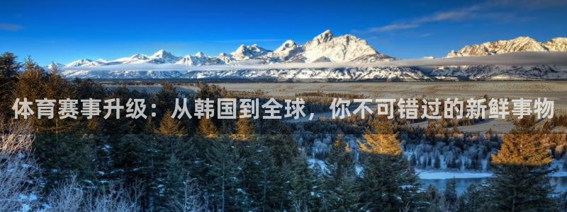 体育赛事升级：从韩国到全球，你不可错过的新鲜事物