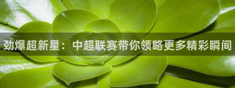 劲爆超新星：中超联赛带你领略更多精彩瞬间