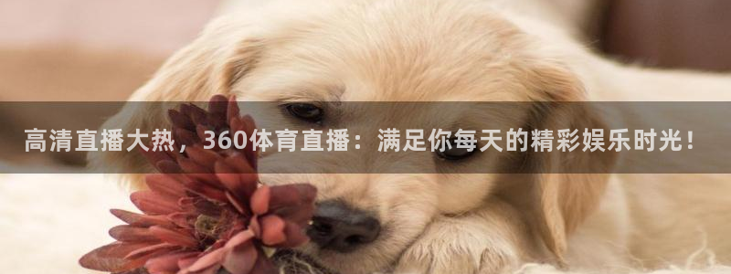 高清直播大热，360体育直播：满足你每天的精彩娱乐时光！