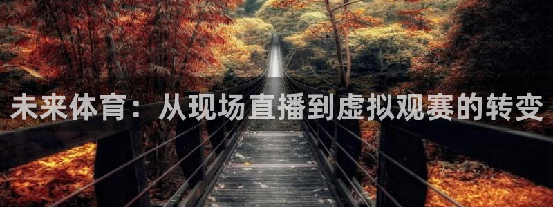 未来体育：从现场直播到虚拟观赛的转变