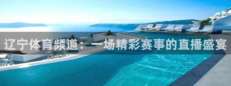 辽宁体育频道：一场精彩赛事的直播盛宴