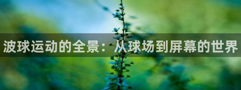 波球运动的全景：从球场到屏幕的世界