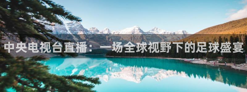 中央电视台直播：一场全球视野下的足球盛宴